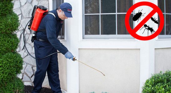 Üçkuyular Gümüşkurt İlaçlama böcek ilaçlama ve haşere kontrolü — ilaclama-tr.com